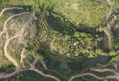 CẦN BÁN 1,5 HA CÓ ONT VIE RẤT ĐẸP GIÁ RẺ.